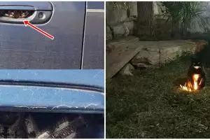 11 Momen lucu nyaris bikin kaget, ada-ada aja kejadiannya