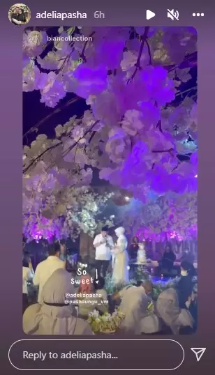 Momen Adelia Pasha rayakan ultah ke-33 © Instagram