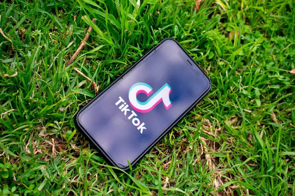 Cara stitch video di TikTok © pixabay.com Cara stitch video di TikTok © pixabay.com