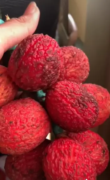 Kupas buah yang disangka leci Instagram Kupas buah yang disangka leci Instagram