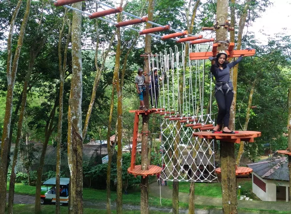 Fakta menarik Kampoeng Kopi Banaran ©  Fakta menarik Kampoeng Kopi Banaran ©