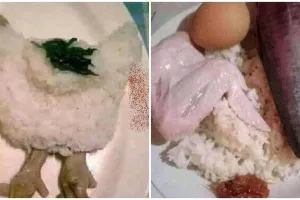 11 Potret menu sahur pakai lauk ayam ini bikin semangat jadi loyo