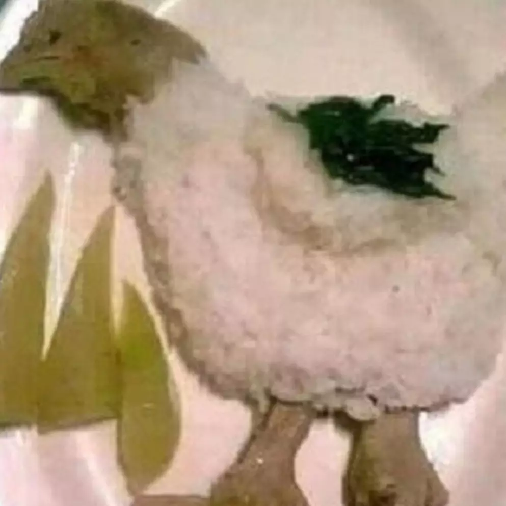 11 Potret menu sahur pakai lauk ayam ini bikin semangat jadi loyo