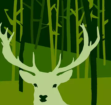 fabel © pixabay.com