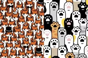 Buang kantuk saat puasa dengan jawab tes gambar ini, sefokus apa kamu?