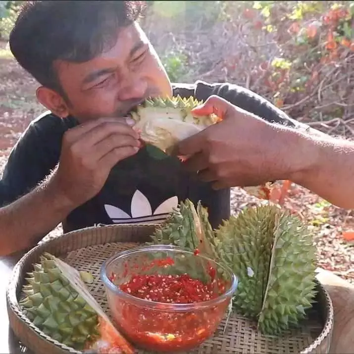 cara makan buah kocak © berbagai sumber