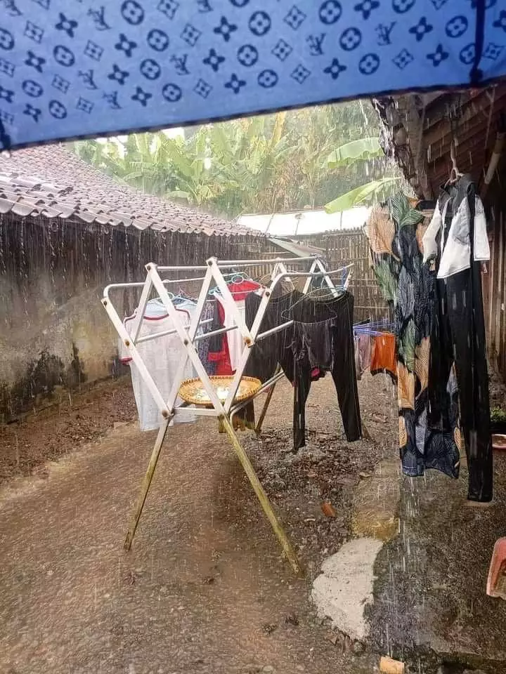 momen apes saat hujan © berbagai sumber