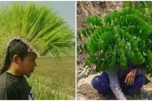 13 Potret lucu orang manfaatin tanaman ini idenya kocak abis