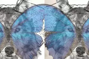 Kesetiaanmu pada pasangan bisa terungkap lewat tes gambar ini