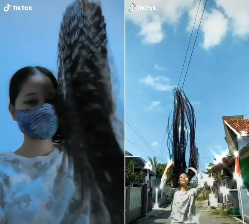 Rapunzel lokal berbagai sumber