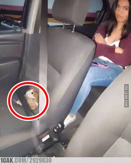 bikin cewek marah lucu deh © berbagai sumber bikin cewek marah lucu deh © berbagai sumber