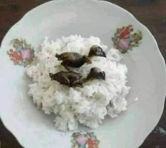 lauk makan nasi nyeleneh pol © berbagai sumber