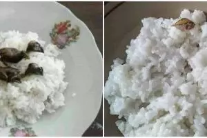 13 Potret nyeleneh lauk makan nasi ini bikin jadi nggak selera
