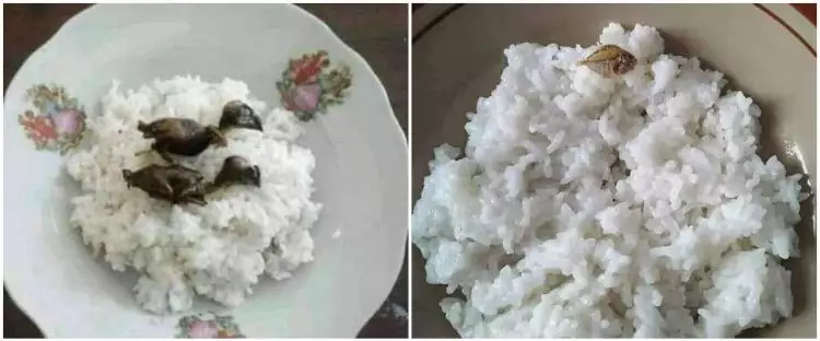 13 Potret nyeleneh lauk makan nasi ini bikin jadi nggak selera