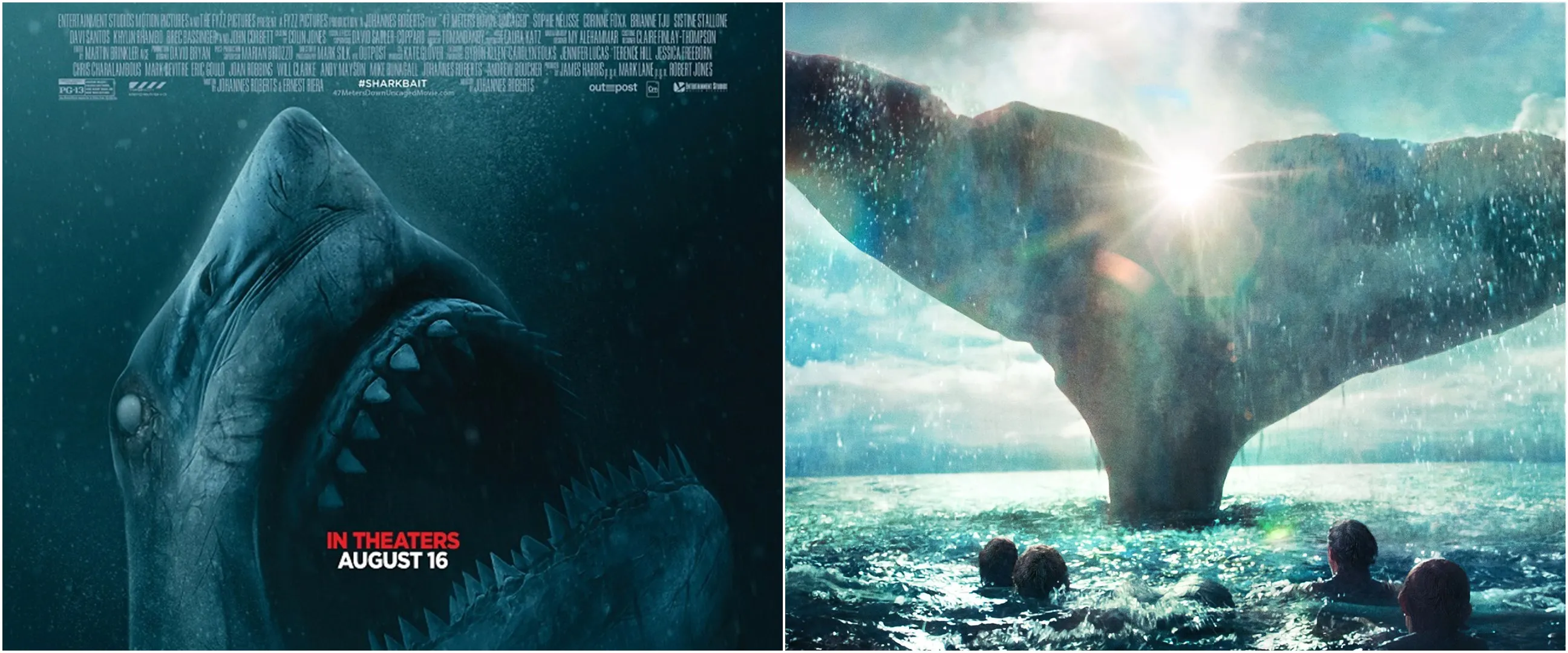 11 Rekomendasi film Netflix kehidupan laut, banyak hal tak terduga