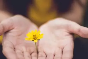 Dari tes ilustrasi ini bisa tahu kamu tipe si murah hati atau pelit