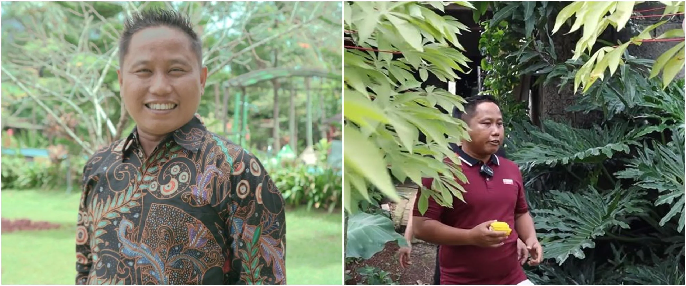 Narji tekuni profesi petani, intip 11 potret kebun sayur di rumahnya