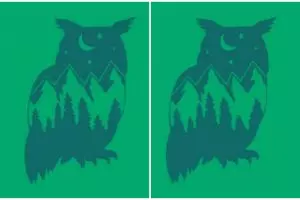 Tes kepribadian ini ungkap sifat baik dominan dari dirimu, yuk coba