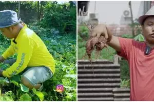 Sukses jadi petani, 11 momen Narji panen hasil kebun belakang rumah