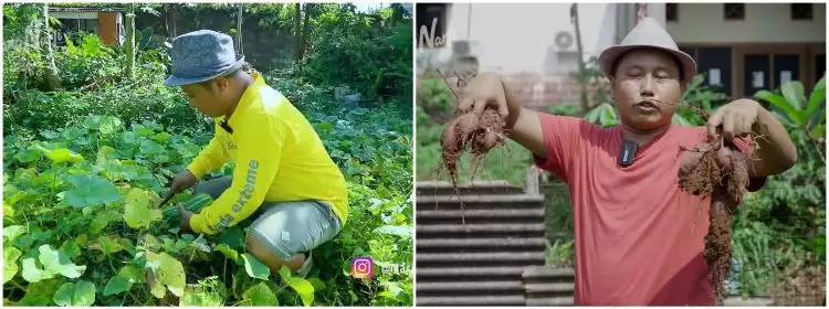 Sukses jadi petani, 11 momen Narji panen hasil kebun belakang rumah