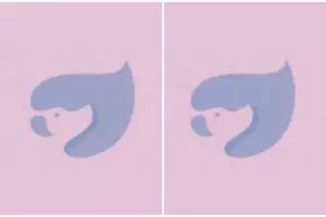 Gambar pertama yang kamu temukan ungkap kecerdasanmu, yuk coba