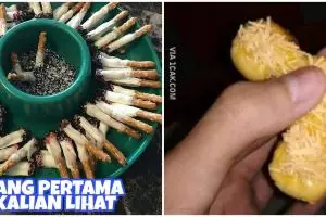 11 Potret nyeleneh kue kering bentuknya menipu, kocak abis