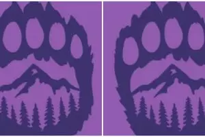 Tes kepribadian ini bantu ungkap seberapa tulus kamu