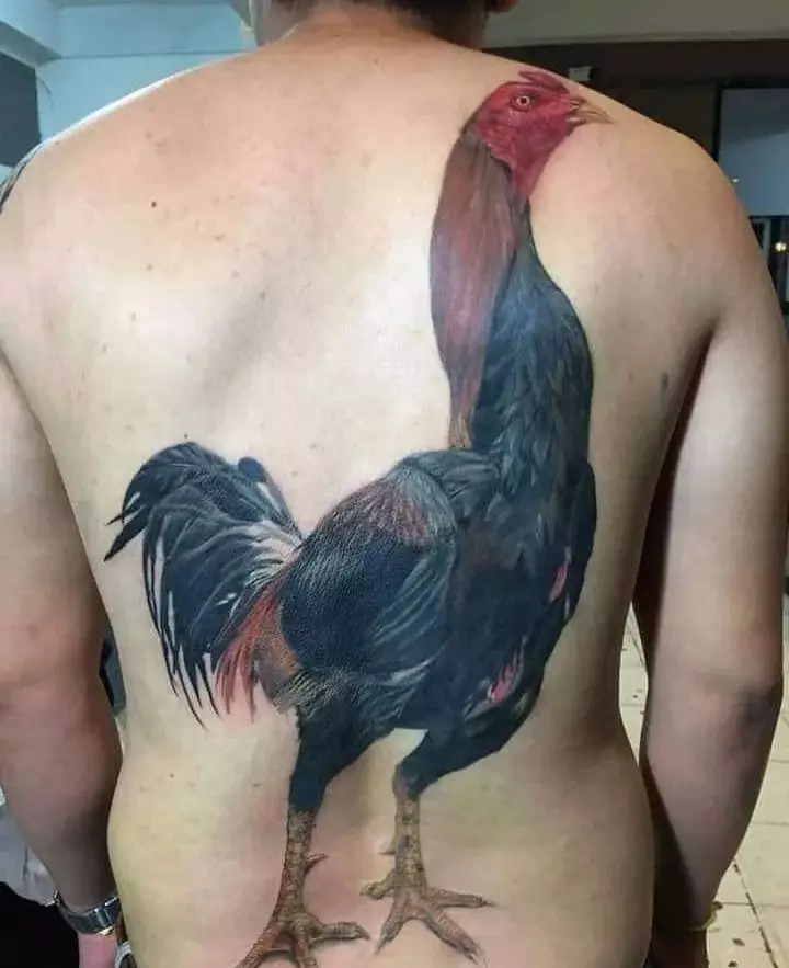 Potret nyeleneh orang saat difoto dari belakang © berbagai sumber Potret nyeleneh orang saat difoto dari belakang © berbagai sumber