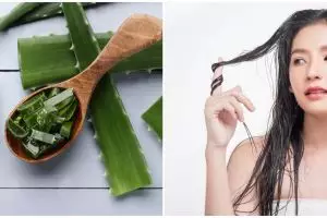 9 Manfaat lidah buaya untuk rambut, beri efek kilau alami