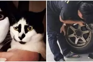 13 Momen lucu orang kompak sama peliharaan, nyeleneh pol