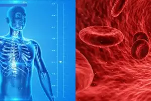 Enzim adalah: arti, ciri, dan jenis-jenisnya