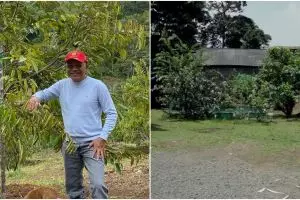 Eks Menaker ini kini jadi petani buah, intip 11 potret kebun miliknya