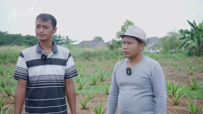kisah inspiratif pria tak lulus sd jadi petani © YouTube