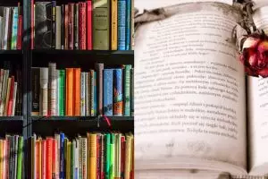 Novel adalah karya sastra, ini pengertian, jenis, dan ciri-cirinya