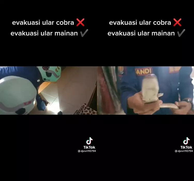 damkar evakuasi ular mainan © TikTok/@djeri110794 damkar evakuasi ular mainan © TikTok/@djeri110794