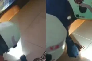 Aksi petugas damkar evakuasi ular di rumah warga ini ujungnya kocak