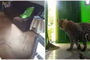 13 Momen nggak terduga di ruang tamu, penampakannya nggak biasa