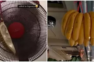 17 Potret nyeleneh pasang pengharum ruangan, bikin pusing nggak ya?