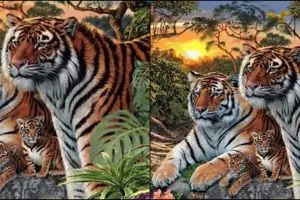 Jumlah harimau yang kamu lihat ungkap kekuatan terbesarmu