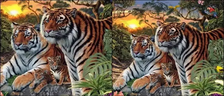 Jumlah harimau yang kamu lihat ungkap kekuatan terbesarmu