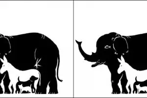 Cek apakah kamu tipe optimis, pesimis, atau realistis dari tes ini