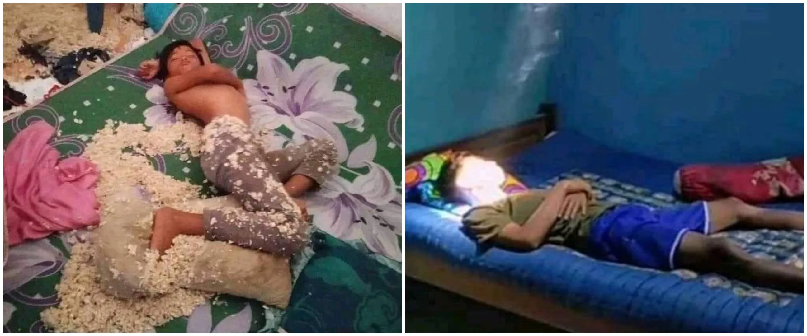 13 Momen apes pas lagi tidur, ada-ada aja kejadiannya