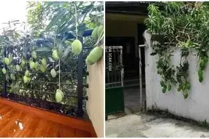 11 Potret lucu namanya juga rezeki, mujur banget nih