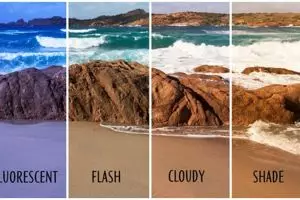 5 Parameter dasar penting mengedit foto smartphone, ternyata gampang