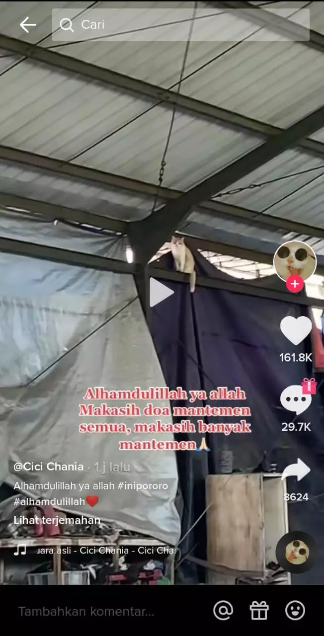 Pororo kucing viral TikTok ditemukan © 2022 TikTok Pororo kucing viral TikTok ditemukan © 2022 TikTok
