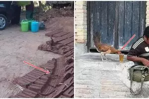 13 Potret lucu akibat nggak lihat-lihat, bikin tepuk jidat