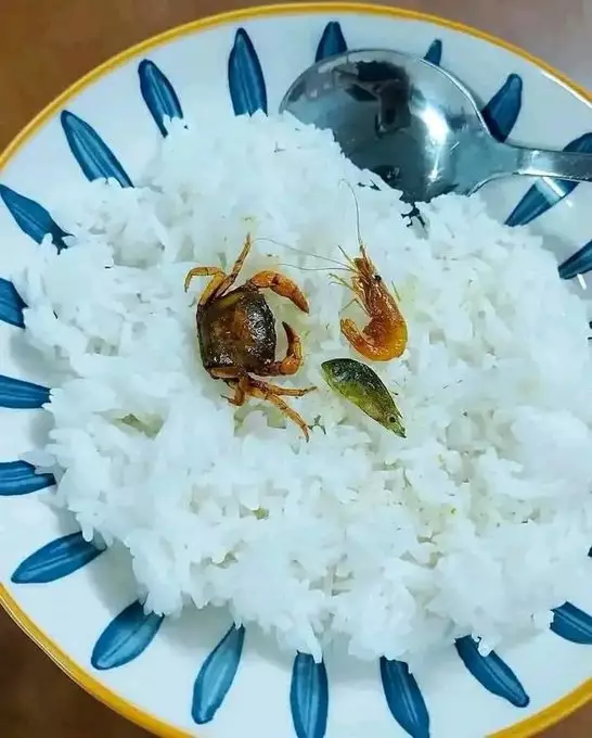 makanan seafood nyeleneh © Berbagai Sumber