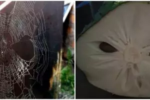 11 Penampakan wajah seram di benda sehari-hari ini bikin terkejut