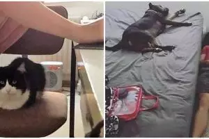 13 Momen lucu terpaksa mengalah ini alasannya ada-ada aja