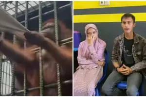Videonya viral di TikTok, ini klarifikasi pria ditarik orang utan